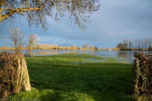 Marais de St Savinien/Le Mung inondé                        